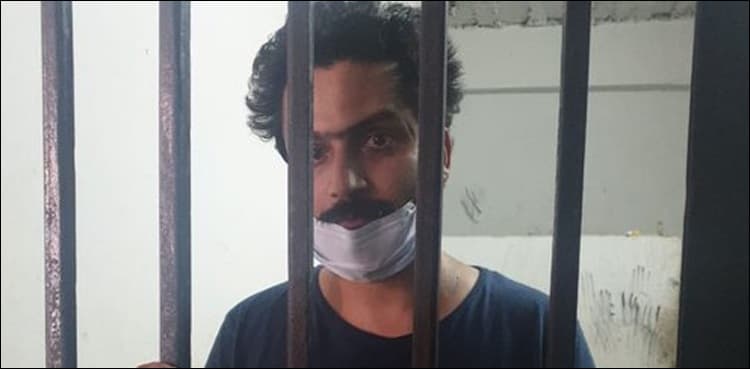Son regrets, confesses torturing mother 