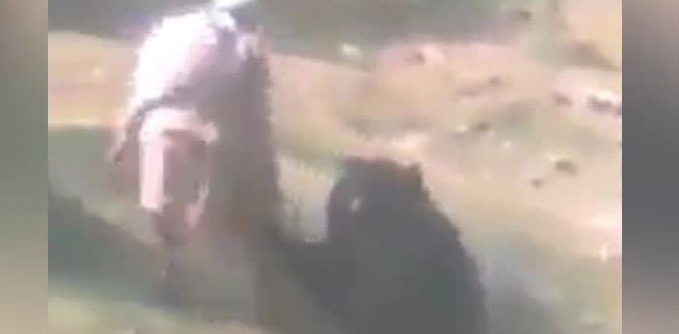 Shocking moment bear mauls, injures man in Kashmir