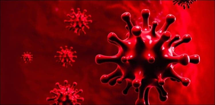 Pakistan reports 32 coronavirus deaths in last 24 hours