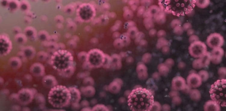 Four more people die of coronavirus, 300 test positive