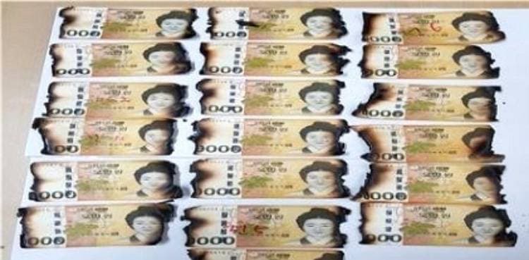 South Koreans are putting banknotes in microwaves and washing machines