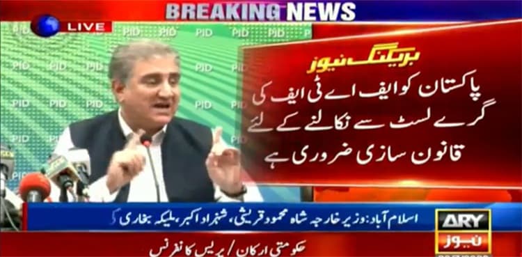 FATF-related legislation to move Pakistan to watchdog's white list: FM Qureshi