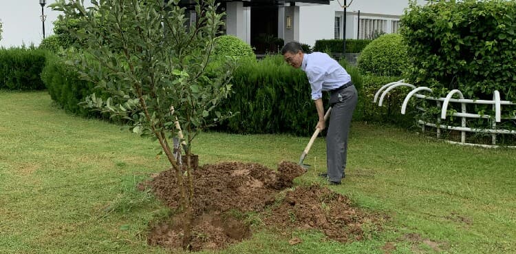 Foreign ambassadors take part in PM's tree plantation drive