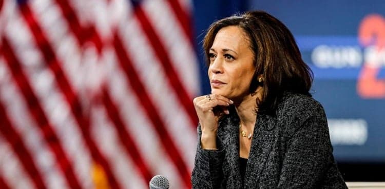 Harris snags enough delegates to clinch Democratic nomination