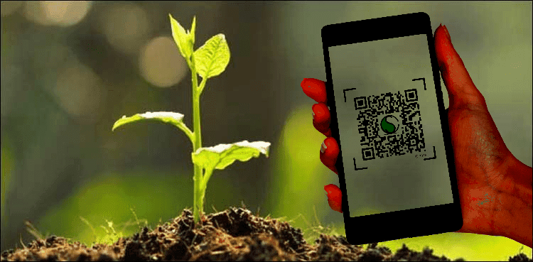 Govt launches app to track ongoing plantation drive