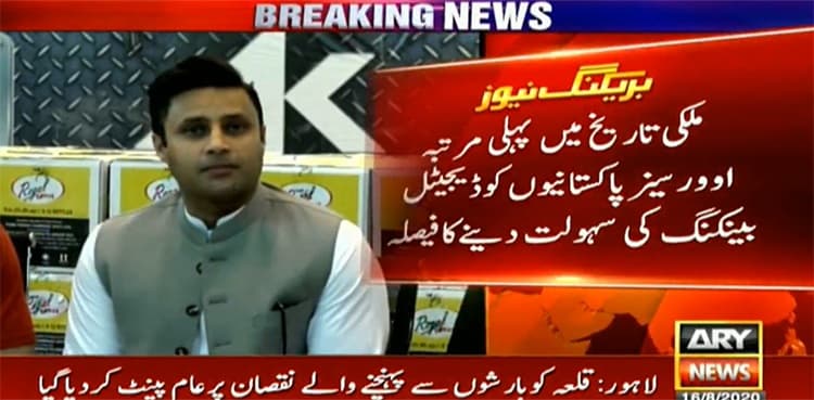 Overseas Pakistanis to get digital banking facility soon: Zulfi Bukhari