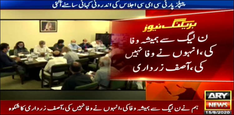 'PML-N always stabbed PPP in back': Zardari