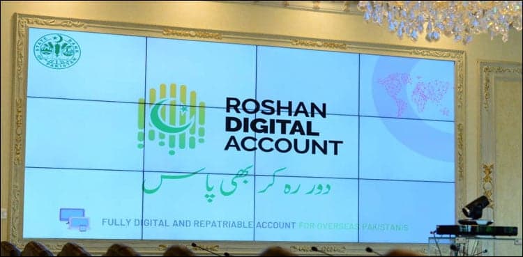 Roshan Digital Account inflows reach $8.25 bn in June 24