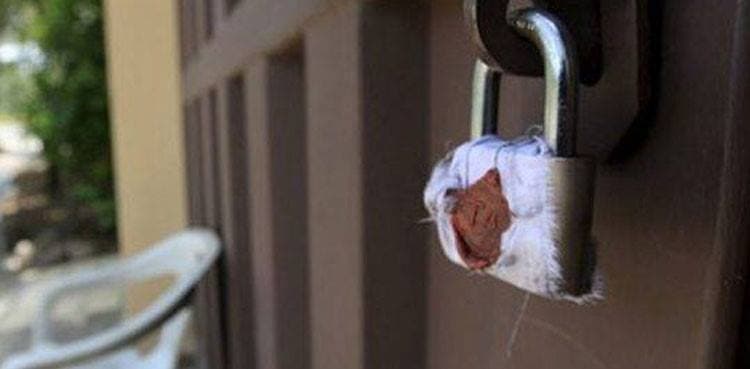 Thatta school closed after nine students contract coronavirus