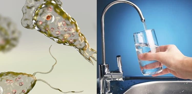 Citizens stopped from using tap water after detection of brain-eating amoeba