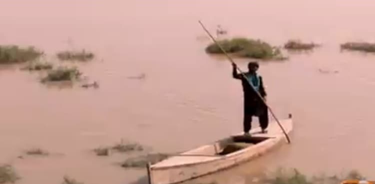 Pakistan's largest sweetwater lake Manchar turns into 'dead lake'