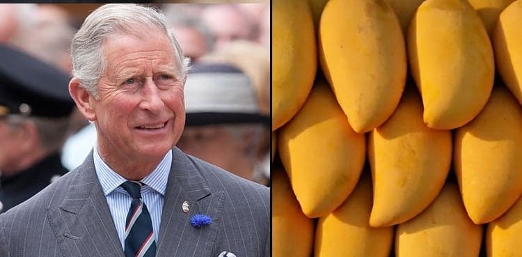 Britain's Prince Charles all praise for Pakistani mangoes