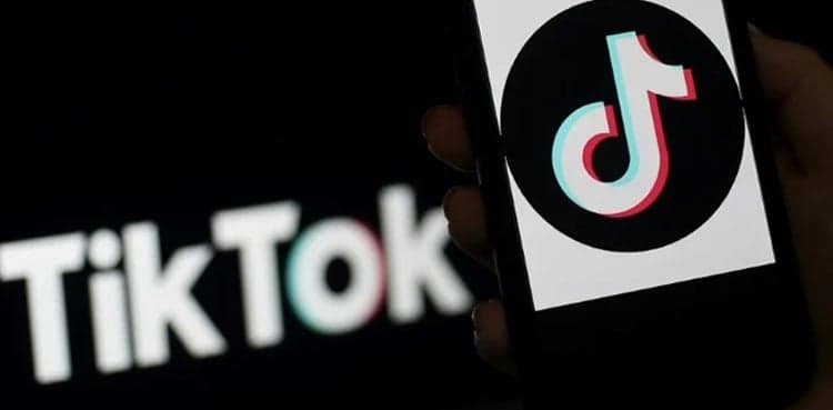 TikTok reunites twins after 24 years  