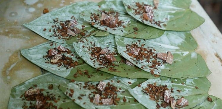 Can chewing paan prevent Covid-19 infection?