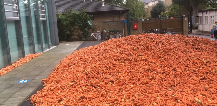 Bizarre: 29 tonnes of carrots dumped on a street in London