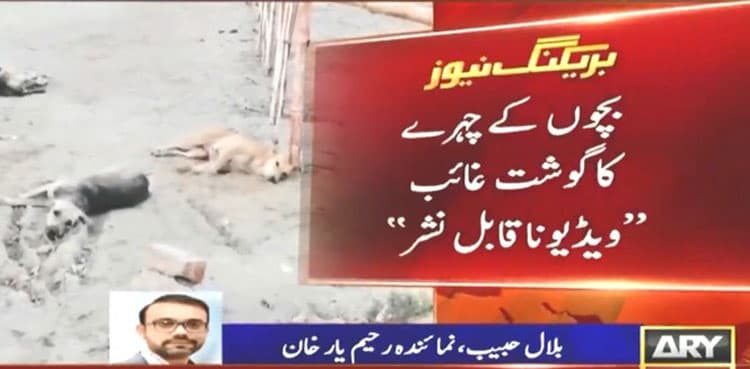 Two children mauled to death by stray dogs in Rahim Yar Khan     