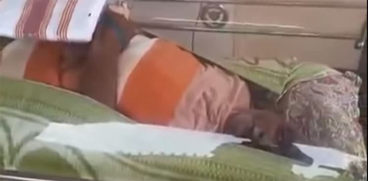 WATCH: Family puts ailing man in freezer box to wait for his death