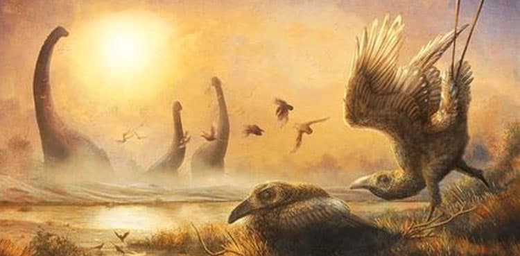 Dinosaur-era bird with scythe-like beak sheds light on avian diversity