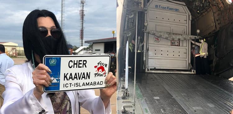 Kaavan lands safely in Cambodia to start new life