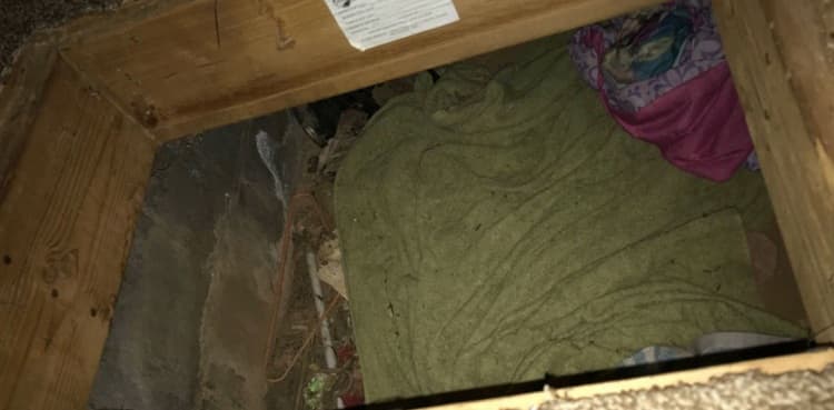 Missing girl found 'intentionally hiding' in closet under trapdoor