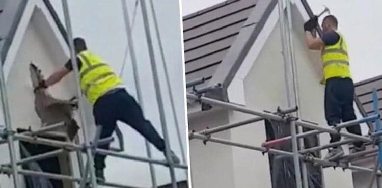 TikTok video: Furious builder smashes houses after ‘not being paid’