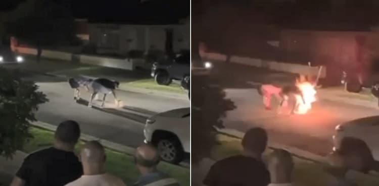 Firework blows up in Sydney man's face