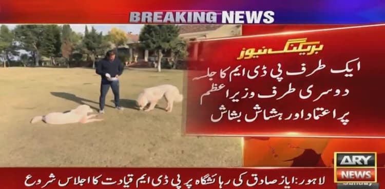 Unperturbed by PDM rally, PM Imran spends time with pet dogs