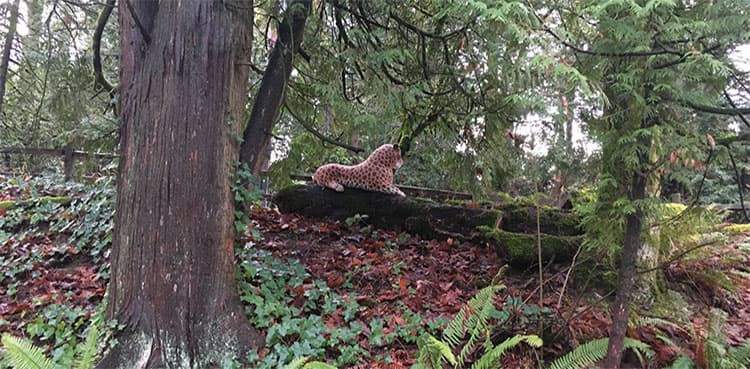 Cheetah on the loose turns out to be stuffed animal