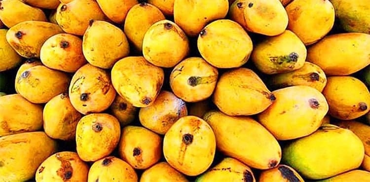 Sindhri, Chaunsa mangoes, kinnow among ten items approved for GI tag