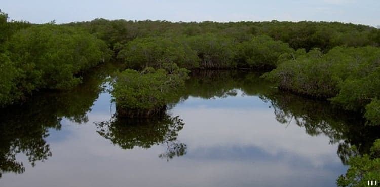 First-ever study launched to assess Blue Carbon assets in Pakistan