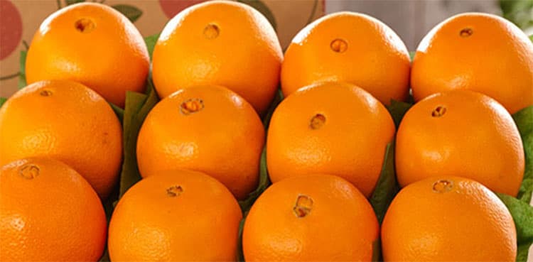Sri Lanka withdraws decision to increase cess on Pakistani oranges: Razak Dawood