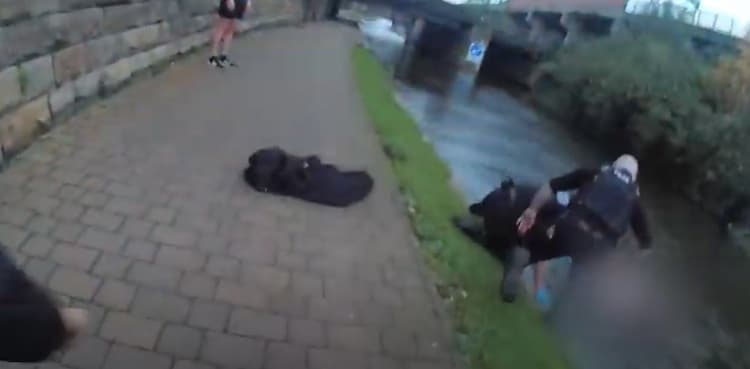 Police officer, paramedic save drowning woman by jumping into freezing cold canal