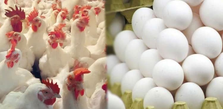 Commissioner Karachi takes notice of hike in chicken, egg prices
