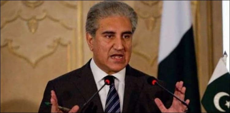 Open balloting to help ensure transparency in Senate polls: FM Qureshi