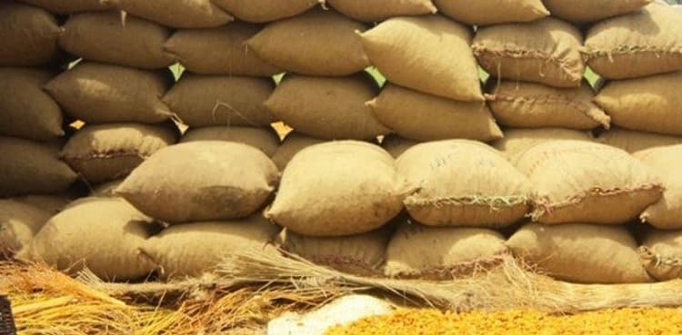 Sindh demands fed govt to announce wheat support price