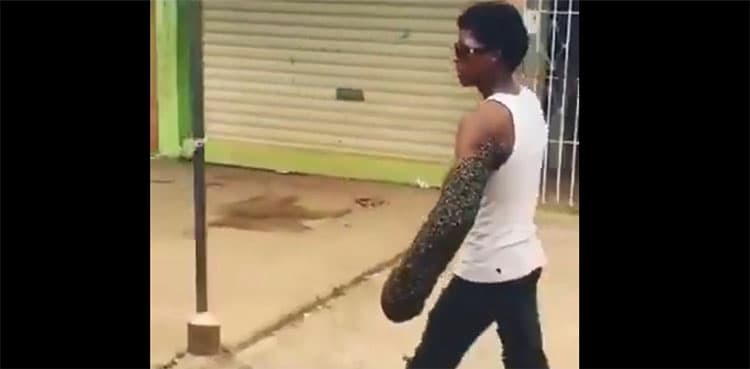 WATCH: Man transports bee colony by carrying queen in fist