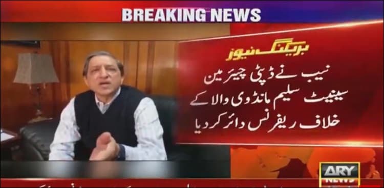 NAB files reference against Senate Deputy Chairman Saleem Mandviwalla