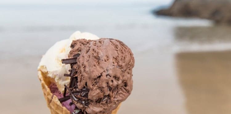 Schoolgirl, 9, killed by fatal reaction after just 'one lick' of ice cream