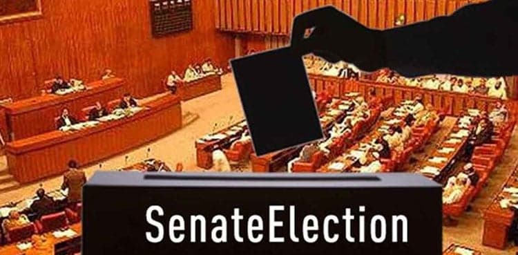 At least 100 candidates submitted nomination papers for Senate elections: ECP