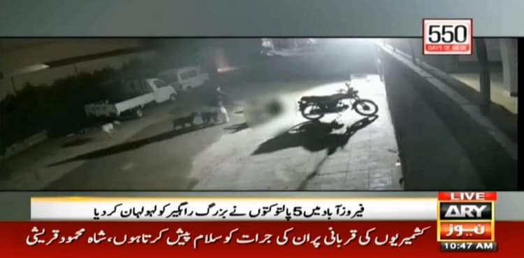Horrific video shows dogs attacking senior citizen in Karachi