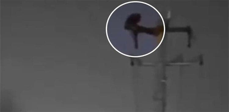 WATCH: Man climbs up electricity pole to do sit-ups  