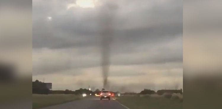 WATCH: Giant swarm of mosquitoes form 'tornado'