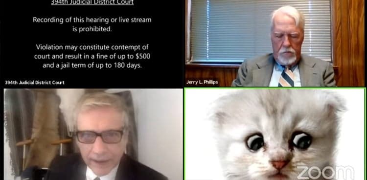 Lawyer turns into a cat during virtual hearing via Zoom, video goes viral