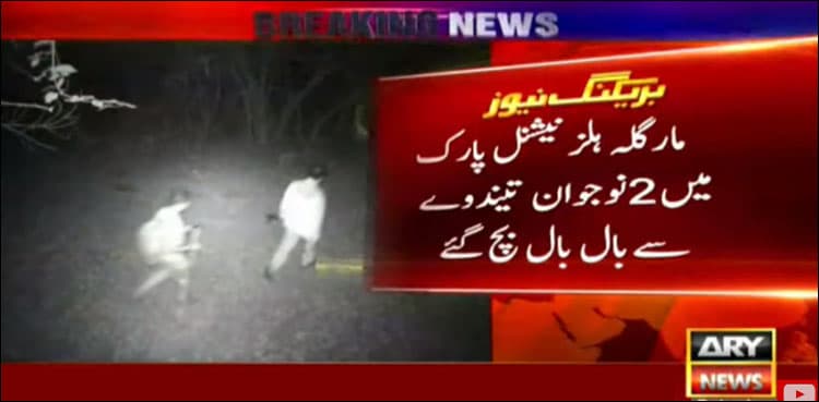 Video shows youngsters narrowly miss encounter with leopard at Margalla Hills