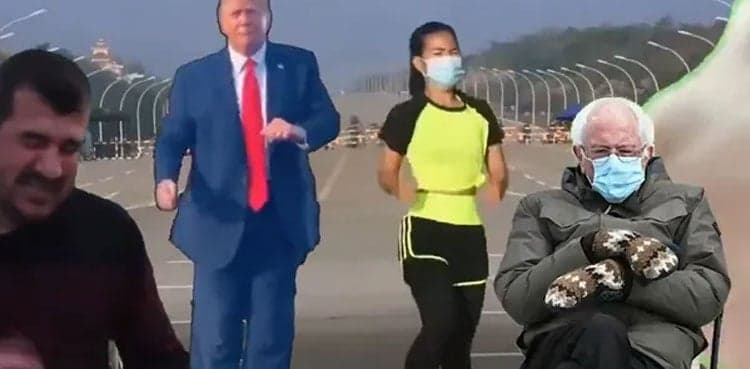 Vibing cat, Trump dance to Myanmar coup: Meme mashup goes viral