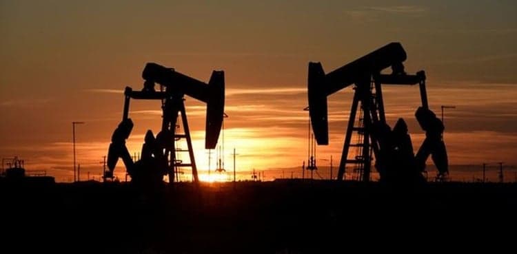 Oil drops after strong rally as talk of slower recovery weighs