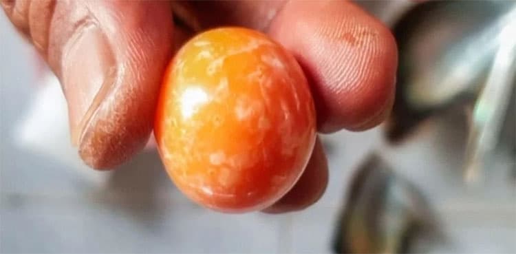 Fisherman finds rare orange pearl worth $330K