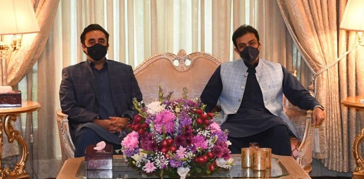 PPP extends full support to PML-N in Punjab: sources