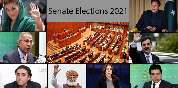 All you need to know about Senate polls 2021