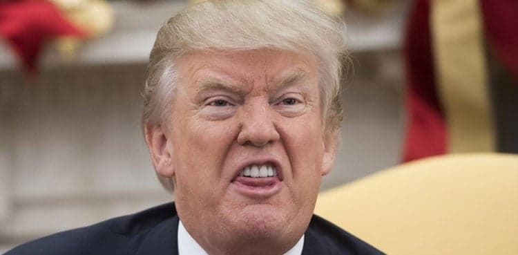 Trump plans social media return with his own platform